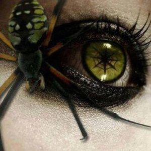 Meet your Posher, Kelli